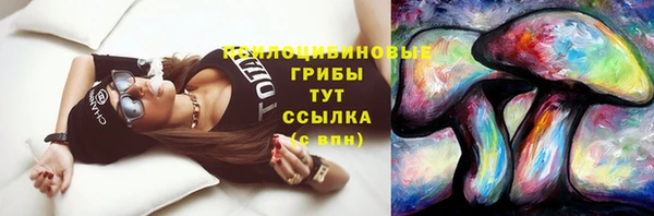 ECSTASY Алексин
