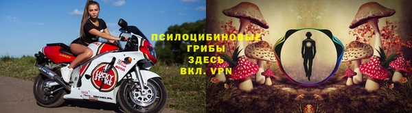 PSILOCYBIN Абинск