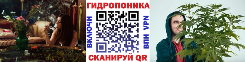 Конопля SATIVA & INDICA  Сорочинск 